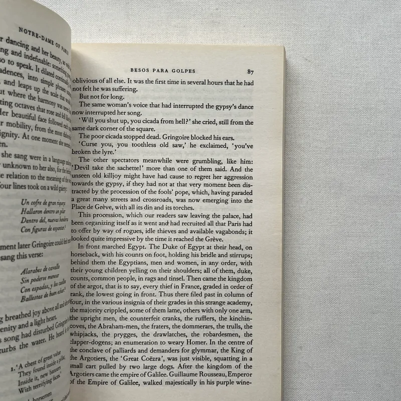 Notre-Dame de Paris - Victor Hugo (like new) 960678