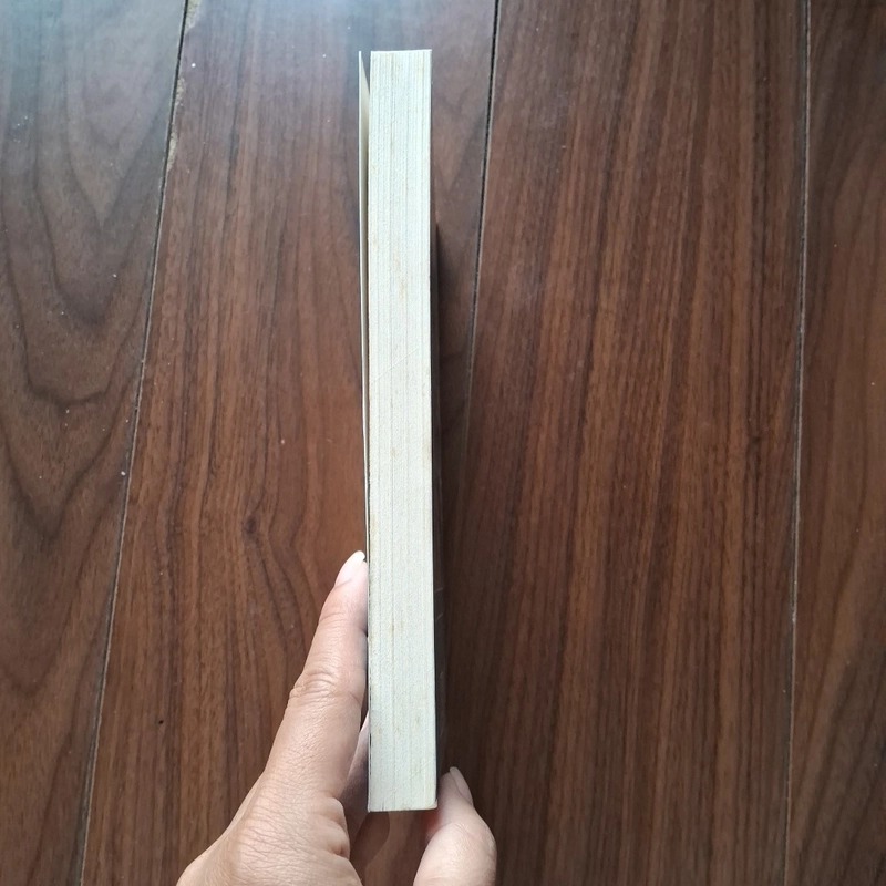 Hai mươi năm sau 505358