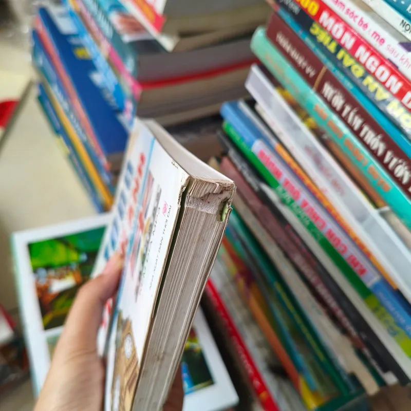 1000 từ khẩu ngữ tiếng anh thông dụng 🌱 572034