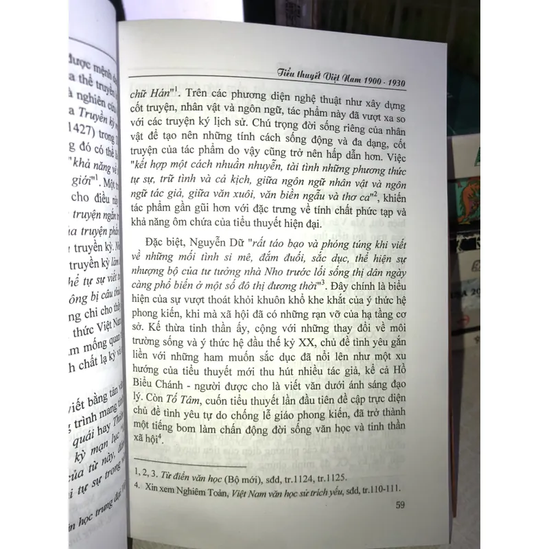 Tiểu thuyết Việt Nam 1900 - 1930 700604