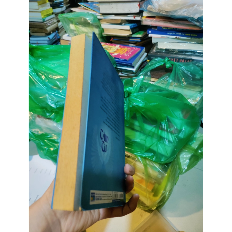TÂM tư của Kim Định 471370
