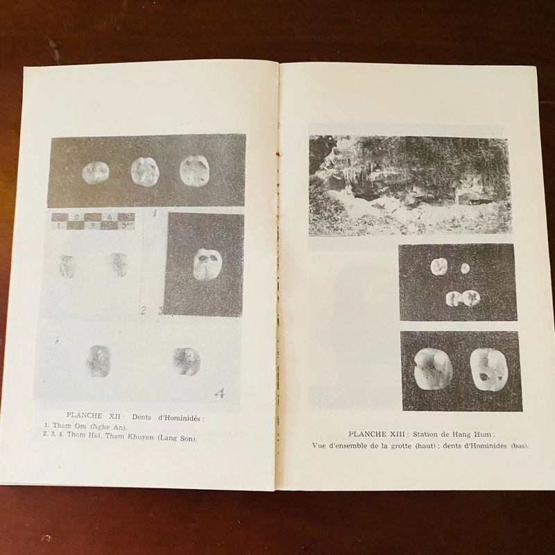 Etudes Vietnamiennes: Données archéologiques  473746