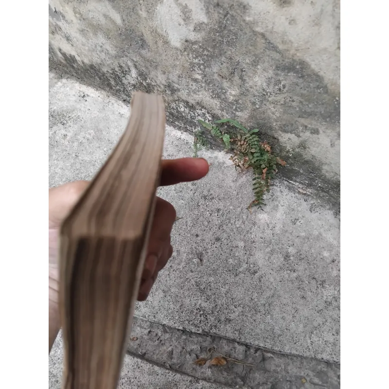 Tây Dương Gia Tô bí lục  1006735