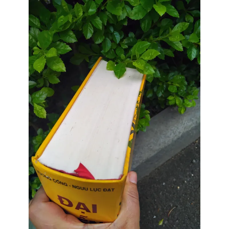 Kinh Dịch đại diễn tân giải  1000279