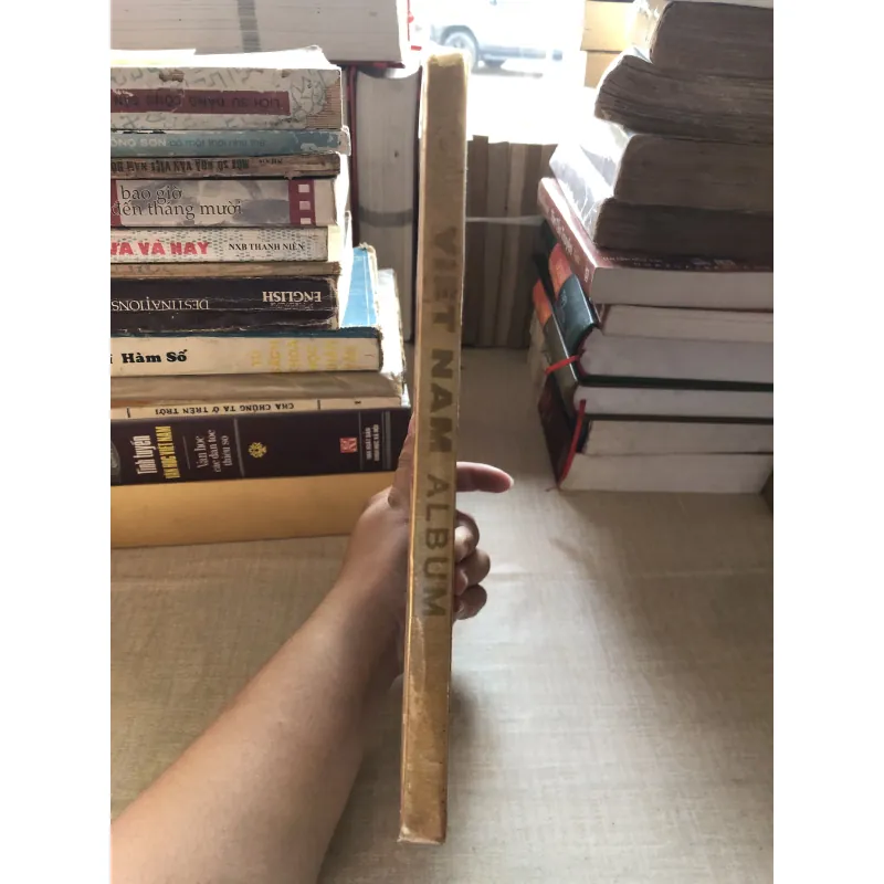 Album Việt Nam 992458