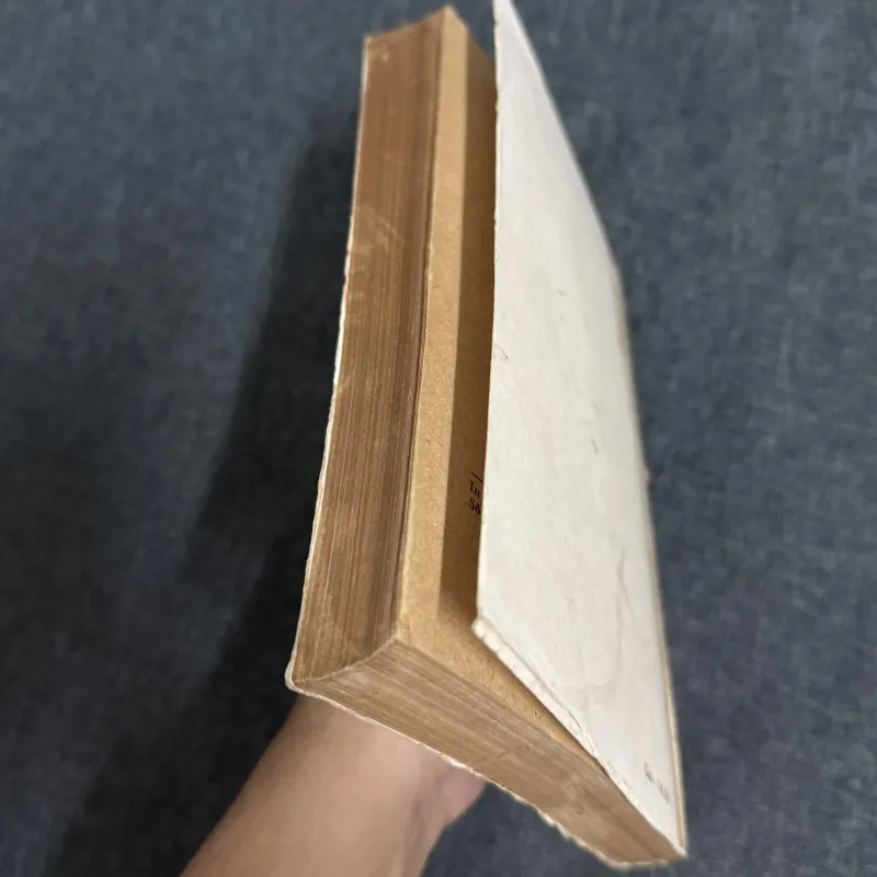 Bà mẹ và thanh gươm. Những ngày đầu tự do. Cuốn sách tìm thấy - Phan Vũ, T. Vượng, D. Hiệp 1010582