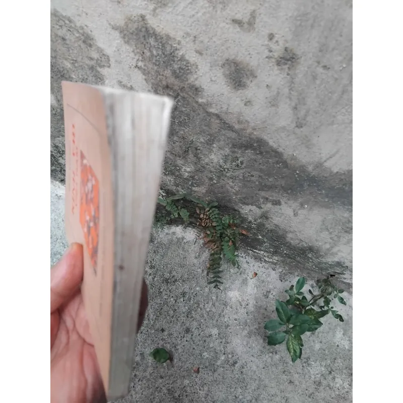 Kinh thi Việt Nam  1025126