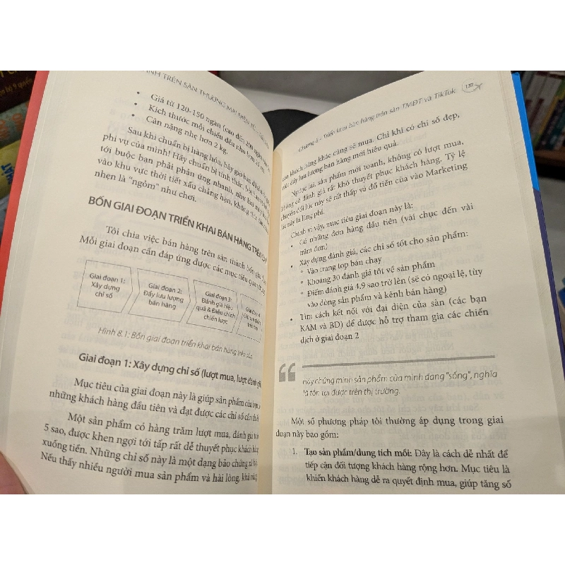 Cất cánh trên sàn thương mại điện tử - Trần Lâm 688188