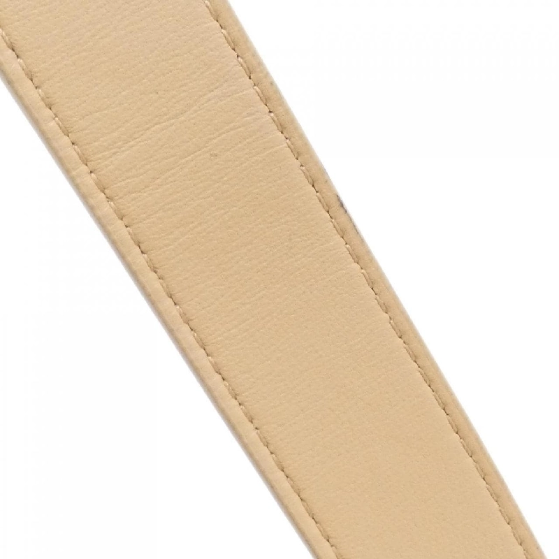 Bottega Veneta 578004 VMAY1 Túi đeo vai 612403