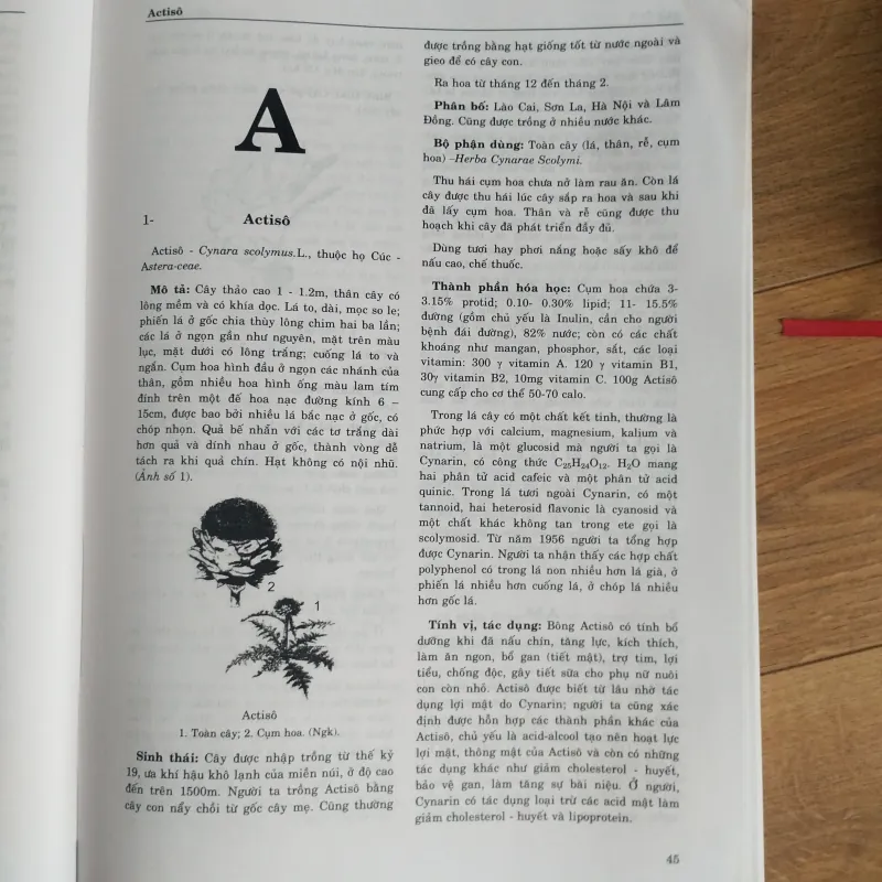 Bộ sách Từ điển Cây thuốc Việt Nam tập 1, 2 1021608