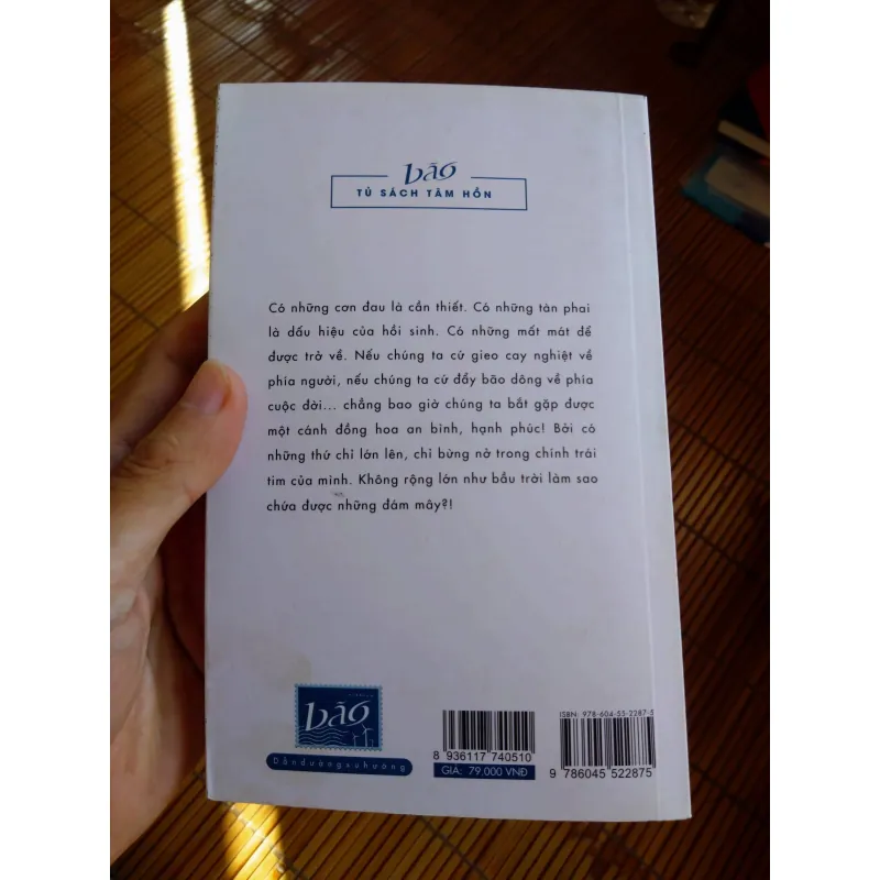 Mây - Nguyễn Bảo Trung 695237