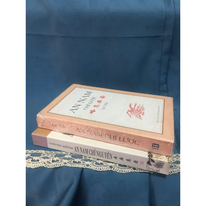 An Nam chí lược, An Nam chí nguyên 788254