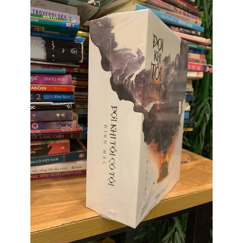 Đợi khi tôi có tội -Đinh Mặc 786134