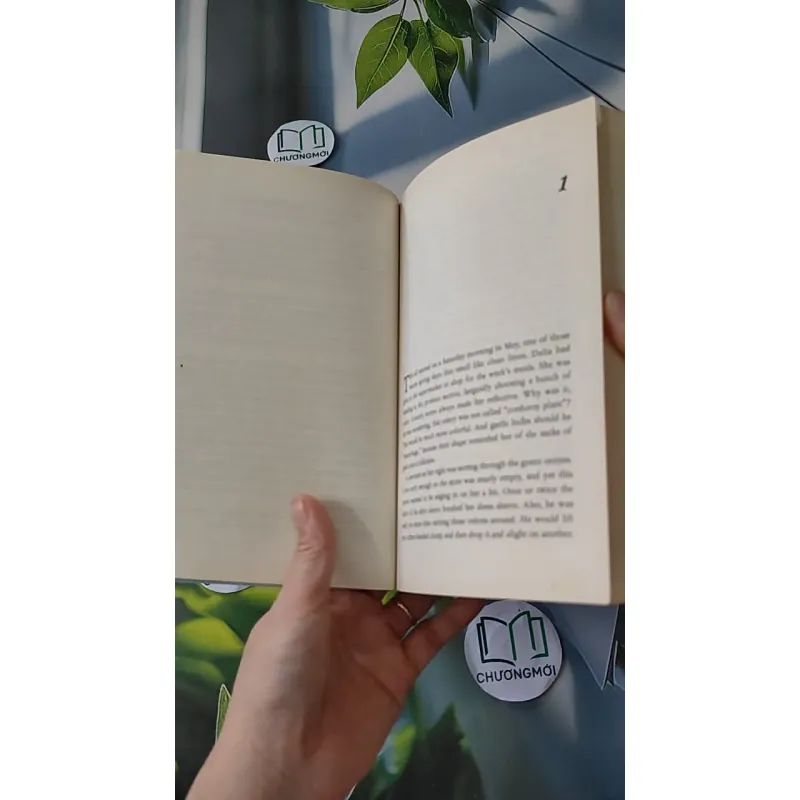 Ladder of Years - Anne Tyler 1033588
