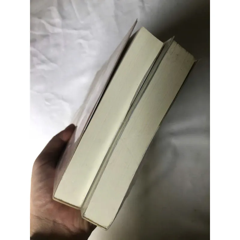 Trọn bộ 2 tập Tình sử Lorna Doone - R. D. Blackmore 1022828