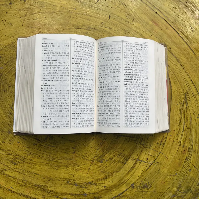 BOXSET TỪ ĐIỂN VIỆT HÀN 700663