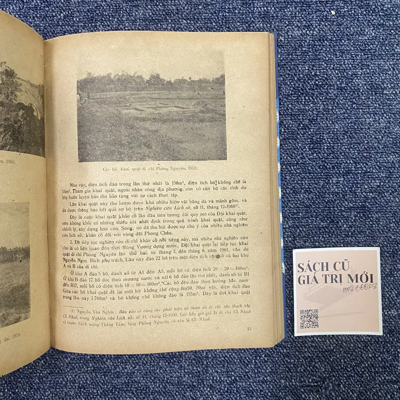 Di chỉ khảo cổ học Phùng Nguyên  715028