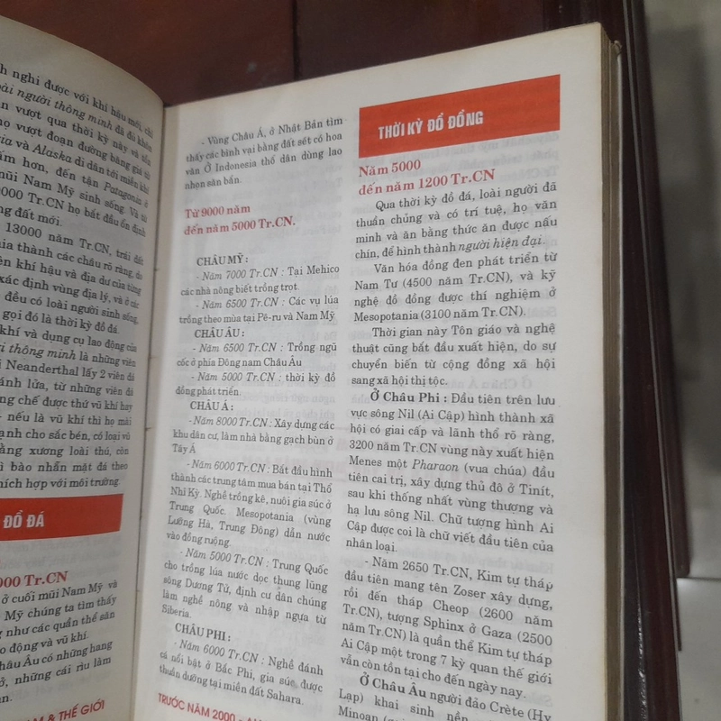 Lược khảo BIÊN NIÊN SỬ Việt Nam & Thế giới trước năm 2000 540697