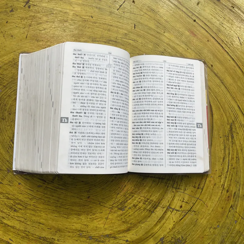 BOXSET TỪ ĐIỂN VIỆT HÀN 700663