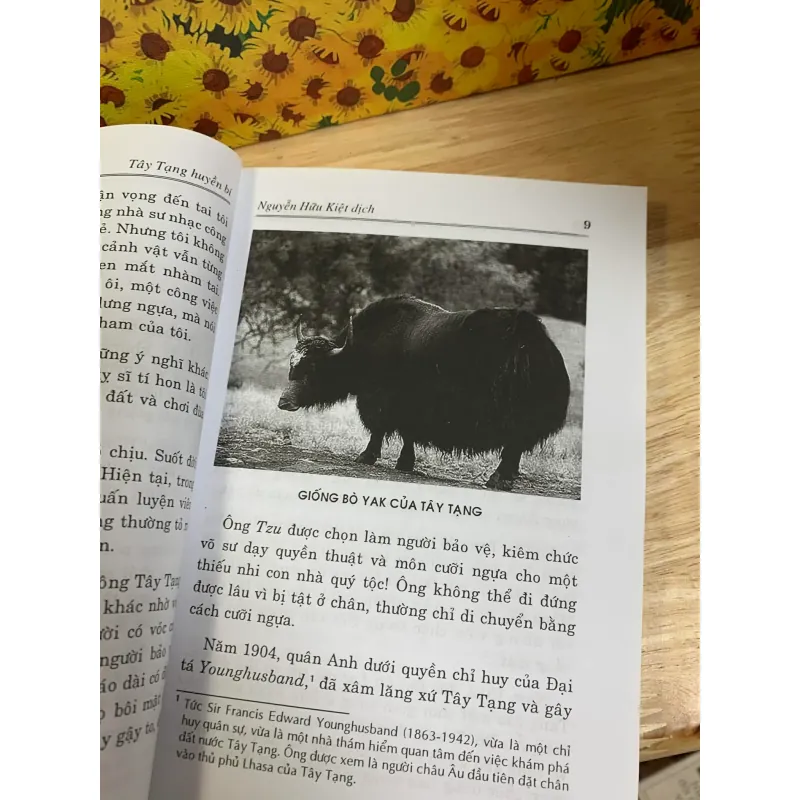 Tây Tạng Huyền Bí 926380