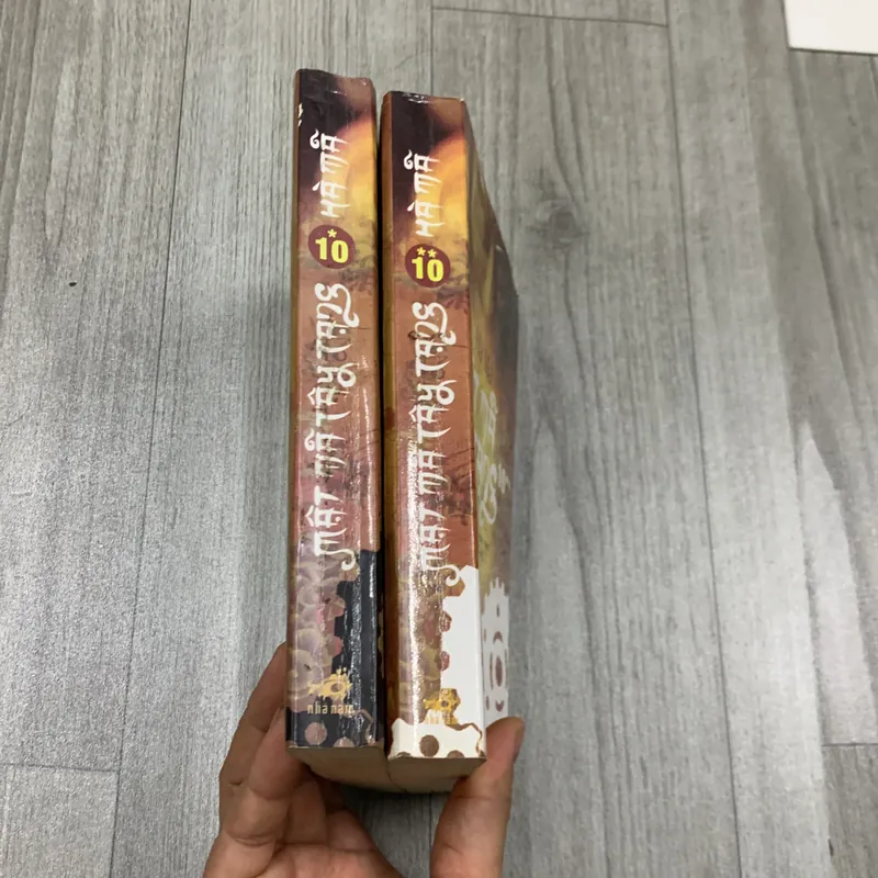 Mật mã tây tạng - hà mã. Combo 2 tập 10a + 10b. 3b2 733367