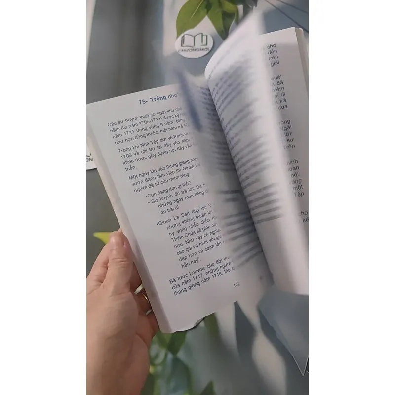 Những Đóa Hoa La San - Nhật Nhật Tân 928514