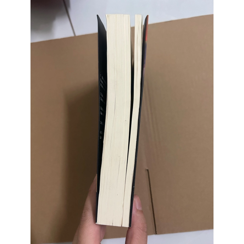 Lãnh đạo trẻ - người tự lập 531497