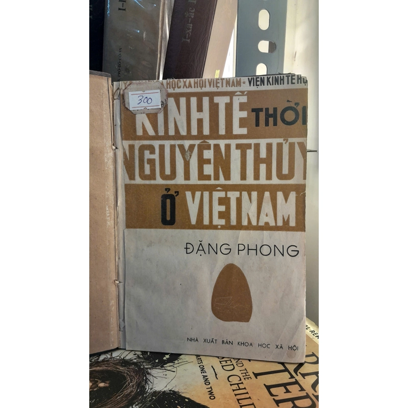 KINH TẾ THỜI NGUYÊN THUỶ Ở VIỆT NAM 310338