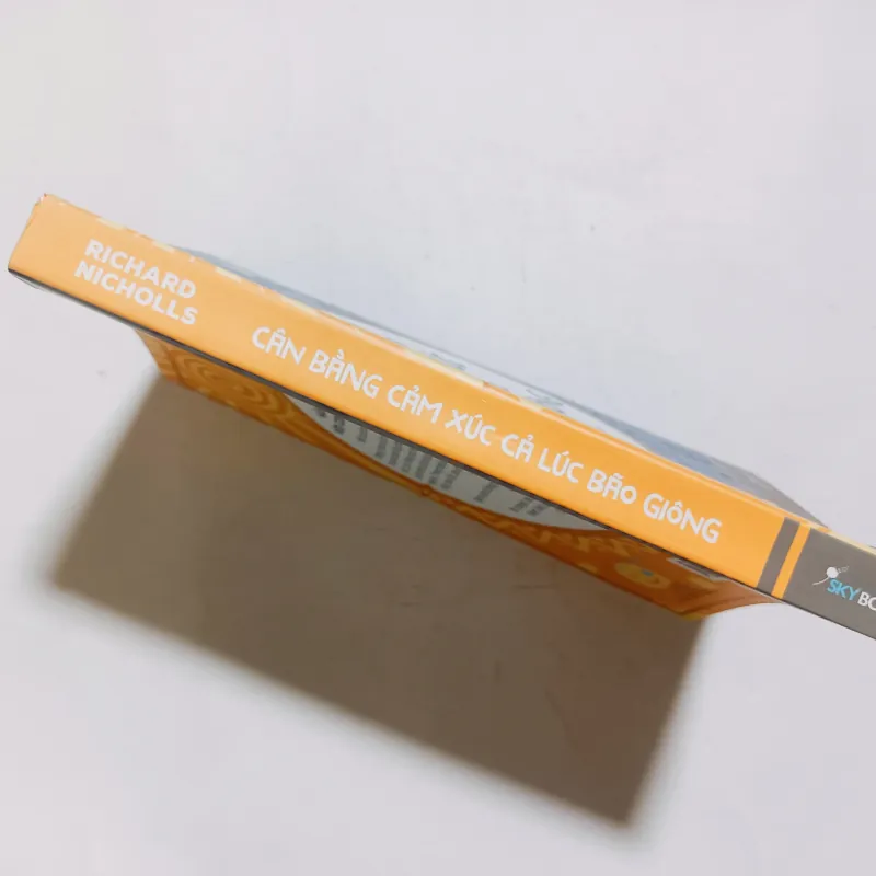 Cân Bằng Cảm Xúc Cả Lúc Bão Giông 993393