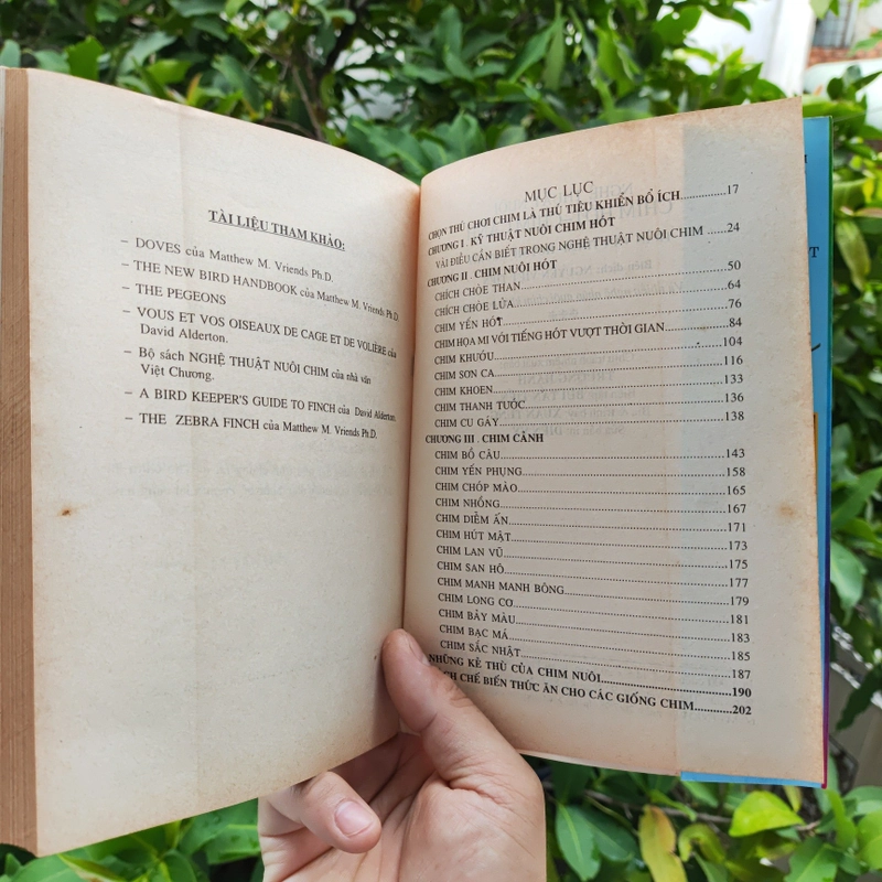 Nghệ Thuật Nuôi Chim Hót - Chim Kiểng 532116