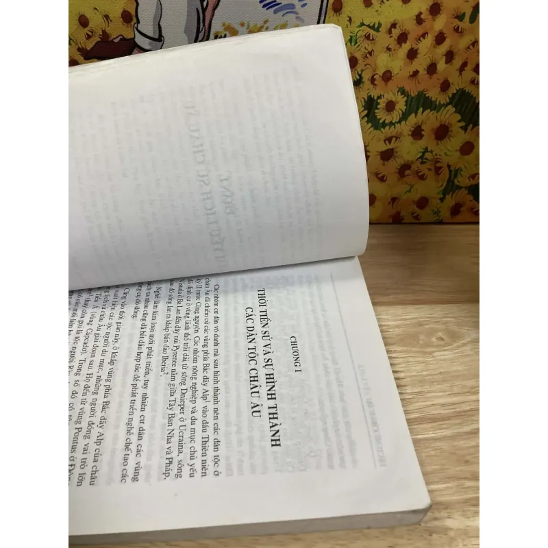 Lịch Sử Châu Âu - Đỗ Đức Thịnh Biên Soạn 961382