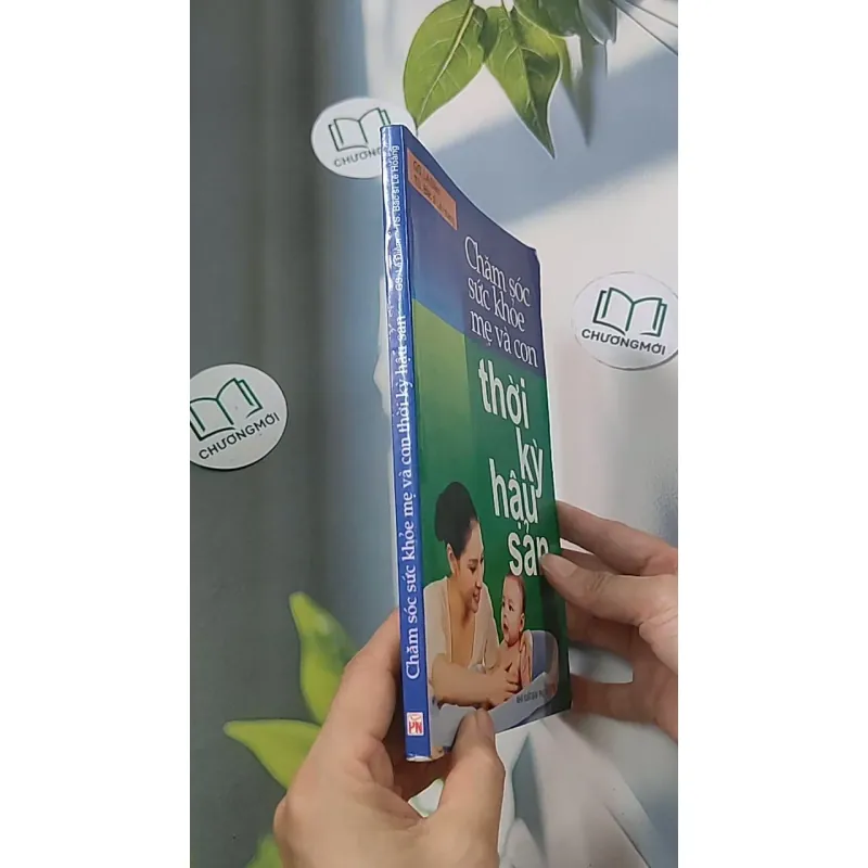 Chăm sóc sức khỏe mẹ và con thời kỳ hậu sản - Giáo sư Lê Đềm 688501