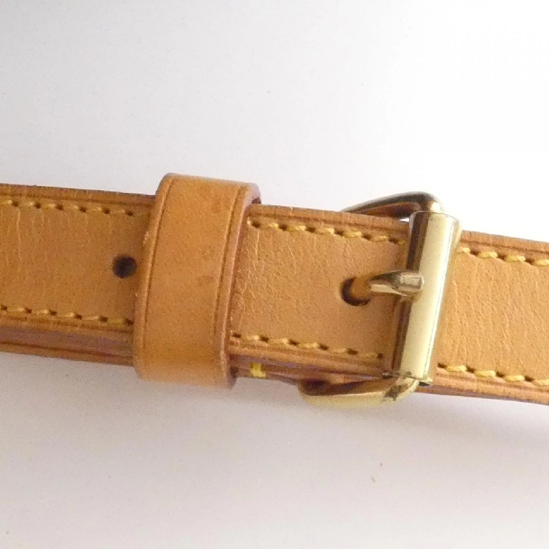 Túi xách vai Louis Vuitton Monogram Randonne PM M42243 - Hàng hiệu Chính hãng 805733