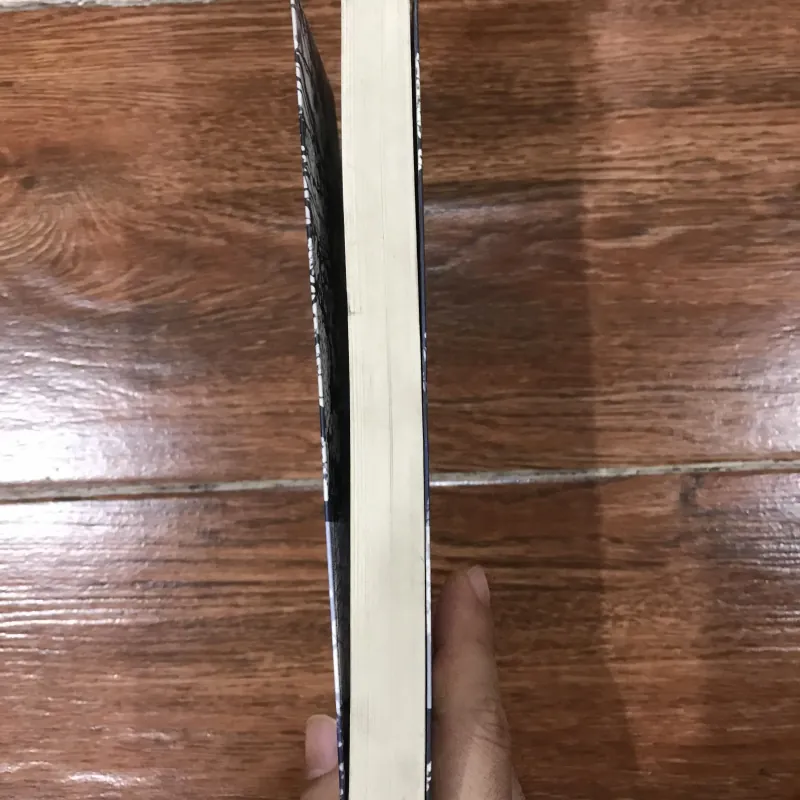 Lịch sử tôn giáo Nhật bản (6) 1006599