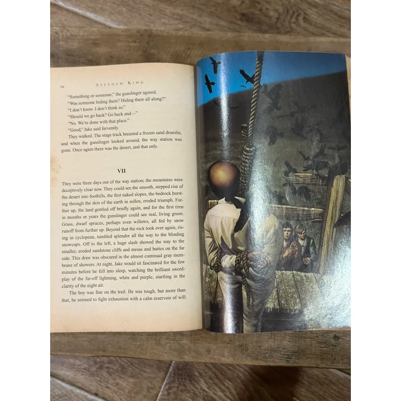 The Gunslinger - Stephen King (The Dark Tower #1) 752869