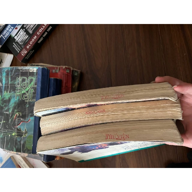 Đợi Khi Tôi Có Tội - Đinh Mặc - Đinh Mặc - BT - Đinh Mặc 1010072