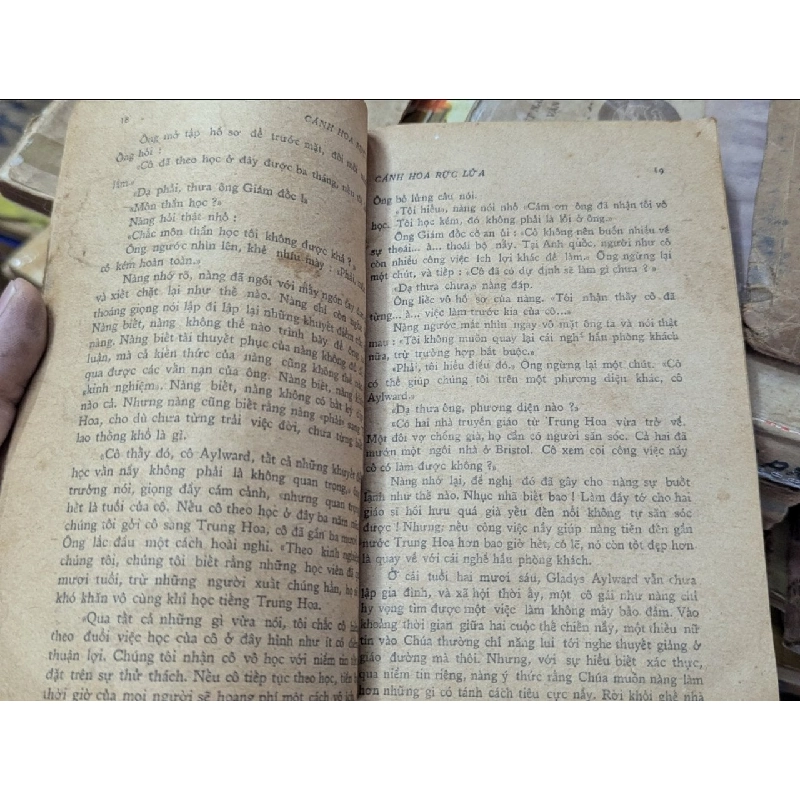 CÁNH HOA RỰC LỬA 132584