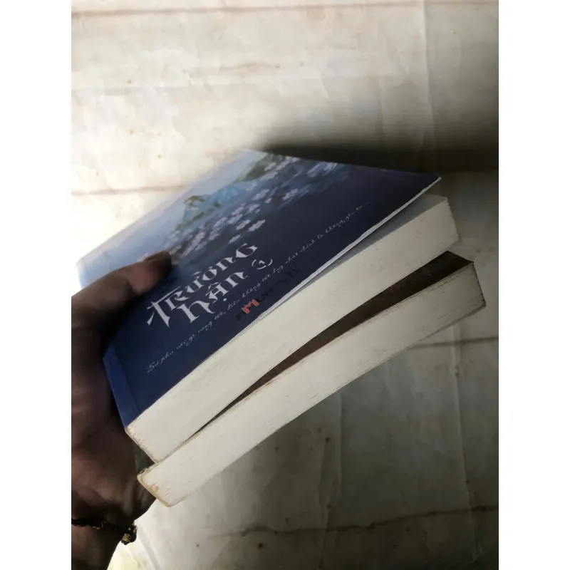 Combo Trường Hận (Bộ 2 Cuốn) - Đạm Anh 800721