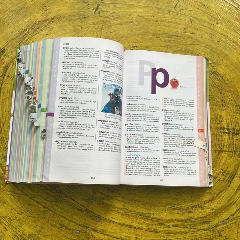 DICTIONNAIRE HACHETTE JUNIOR CE-CM 8-11 ANS 697410