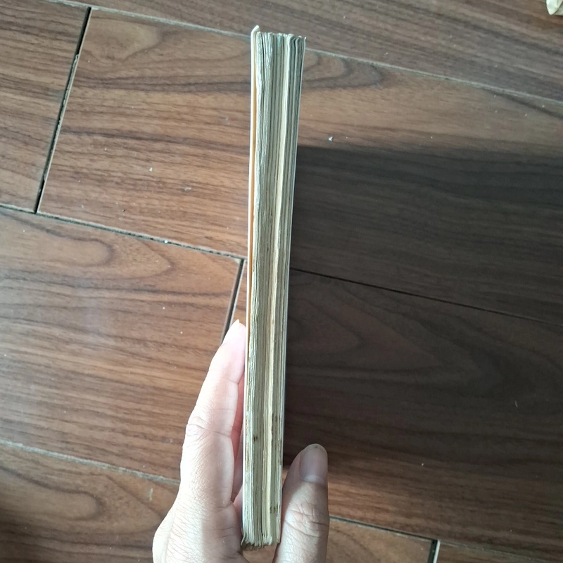 Quan tài từ hồng kông 525032