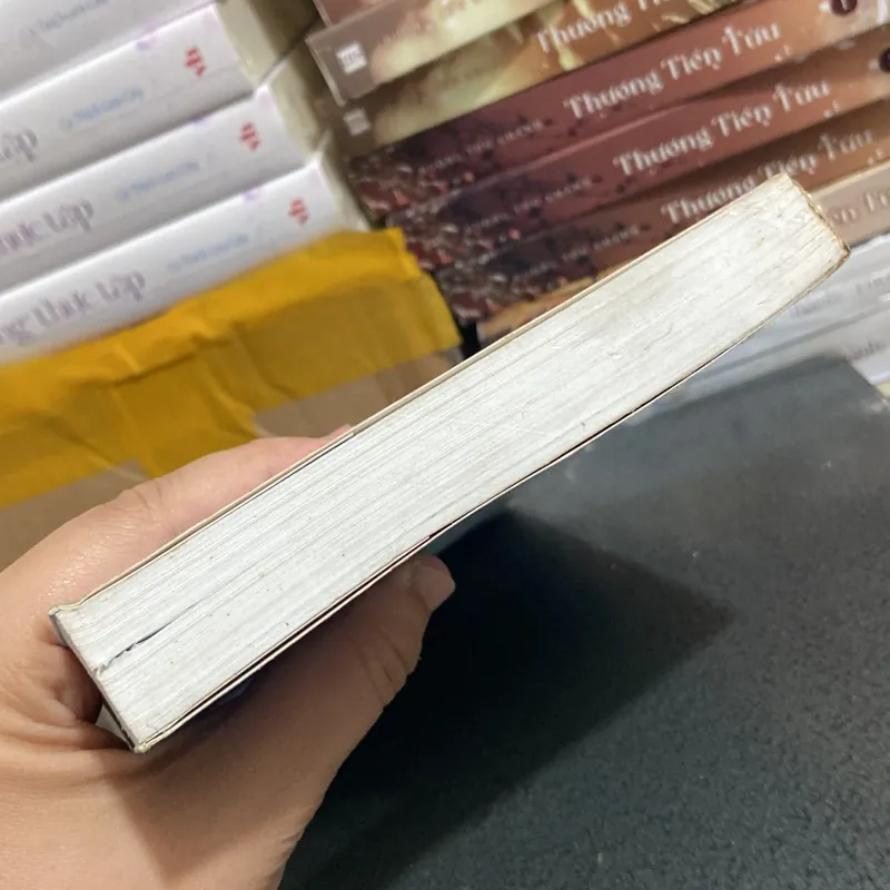 (Bút ký) - Hồn mai - Nguyễn Xuân Hoàng 976120