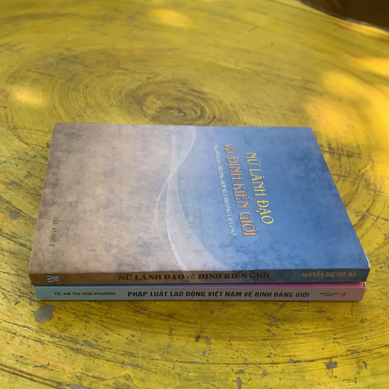  COMBO PHÁP LUẬT LAO ĐỘNG VIỆT NAM VỀ BÌNH ĐẲNG GIỚI & NỮ LÃNH ĐẠO VÀ ĐỊNH KIẾN GIỚI  788046
