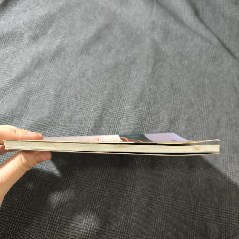 Thư Cho Người Em Tịnh Độ - Thích Hồng Nhơn 697709