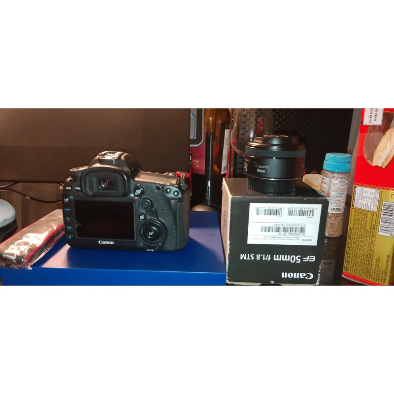 Canon 5d4 và lens 50stm 558832