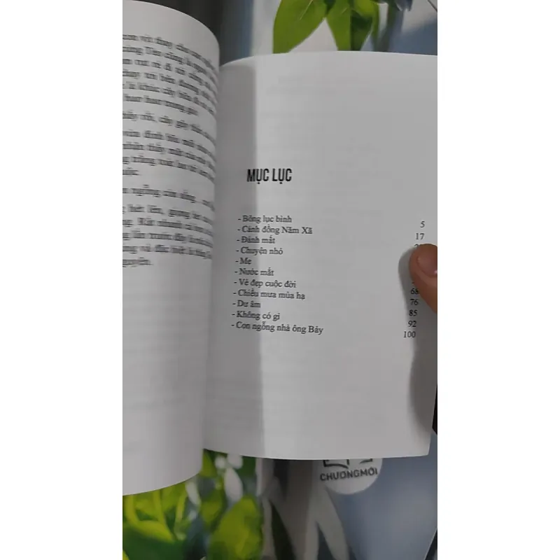 Bông Lục Bình - Mạnh Hà 798483