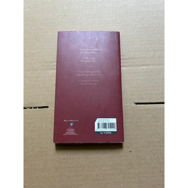 Love & Misadventure Yêu thương hay vận rủi 995436