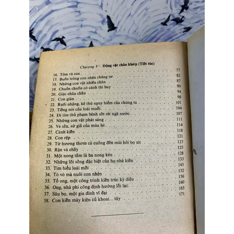 Những Kỳ Lạ Trong Thế Giới Sinh Vật 926223