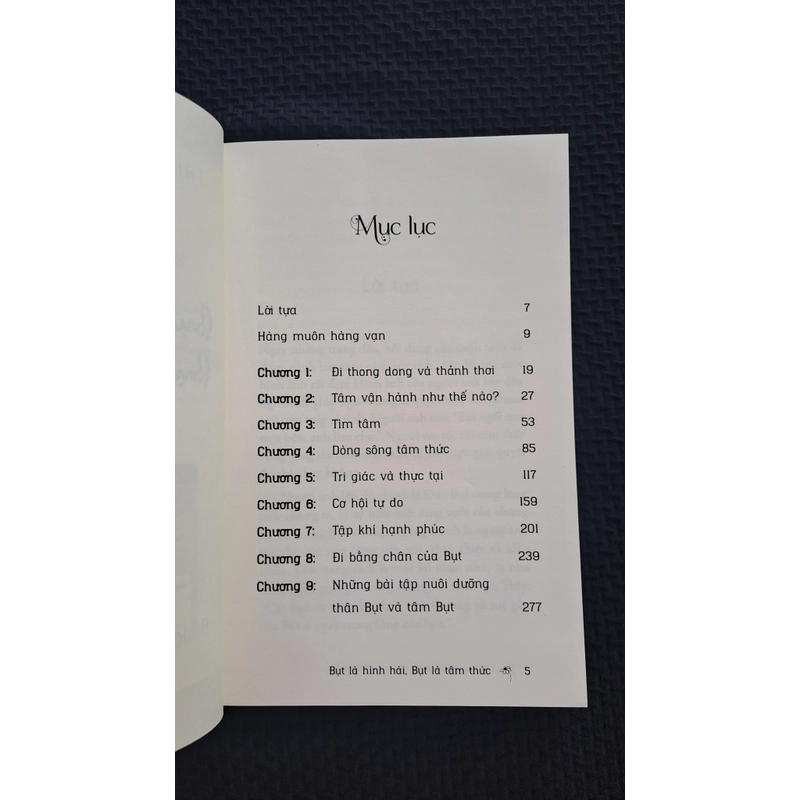 Bụt là hình hài, Bụt là tâm thức - Thích Nhất Hạnh 524253