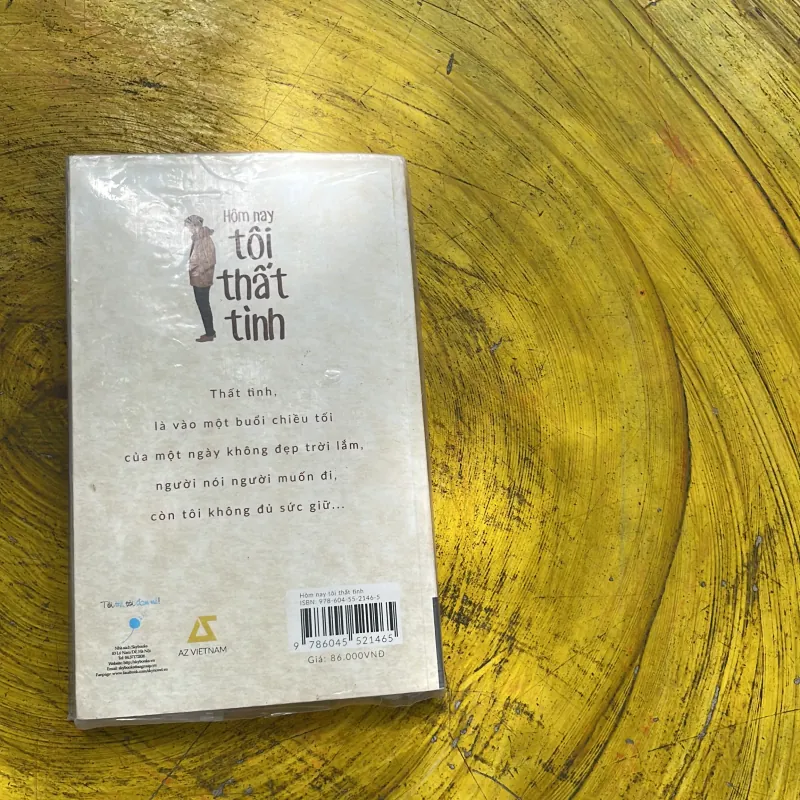 HÔM NAY TÔI THẤT TÌNH - THUỴ VŨ 744980