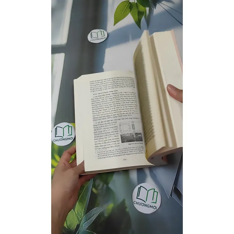 [MIỄN PHÍ BỌC SÁCH] Mộ Cổ Nam Bộ - Phạm Đức Mạnh 1018858